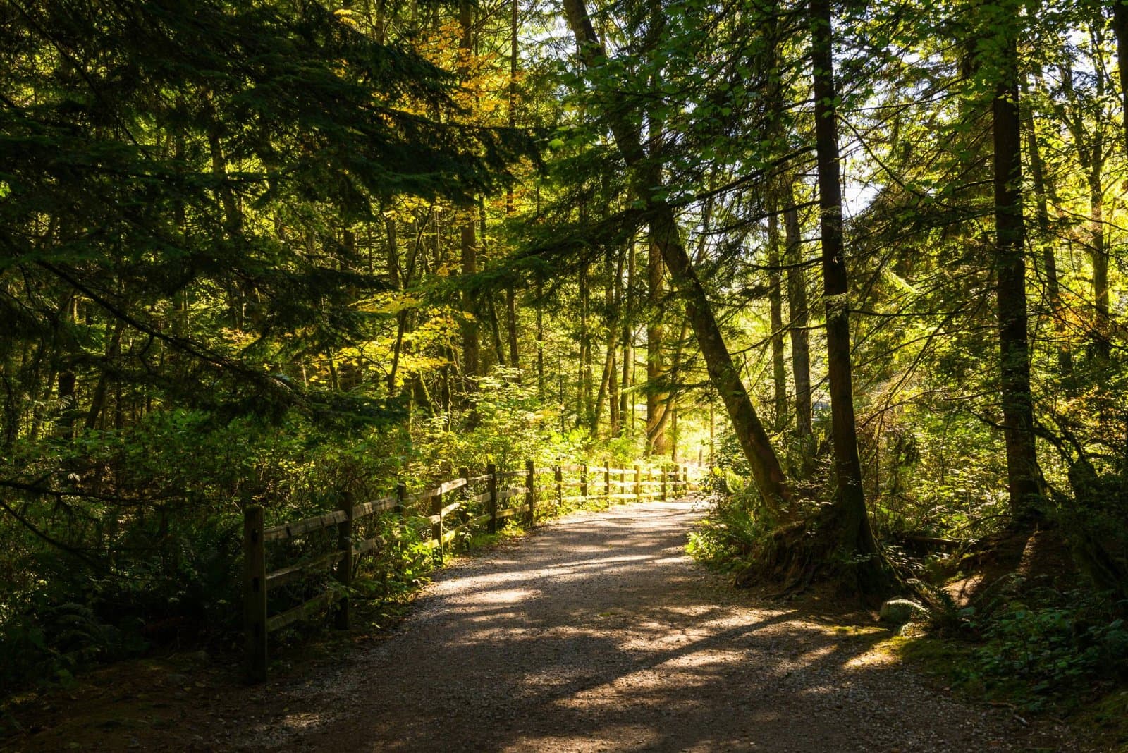 Day 4 – Walking in the Spirit and Overcoming the Power of the Flesh